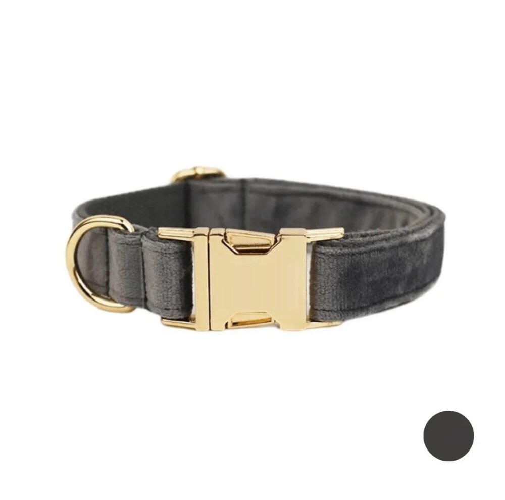 Collier chien personnalisé gris – Image 2