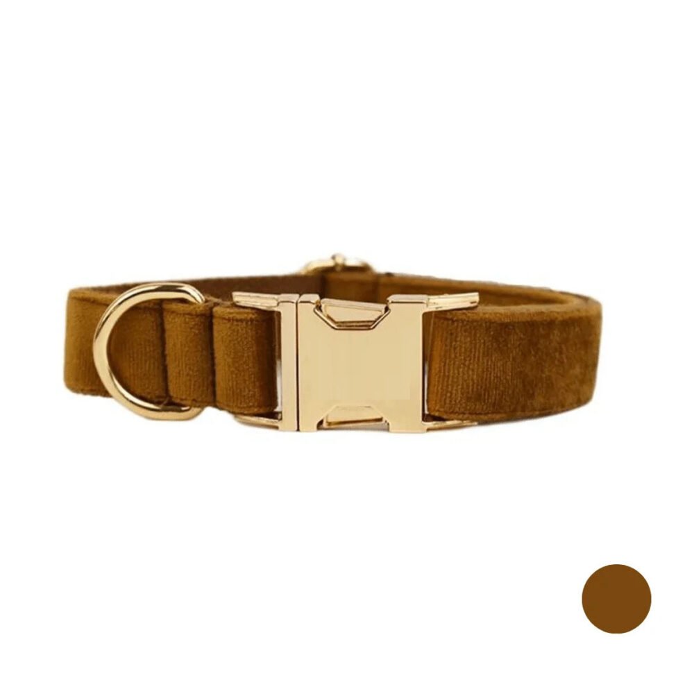 Collier chien personnalisé marron – Image 2