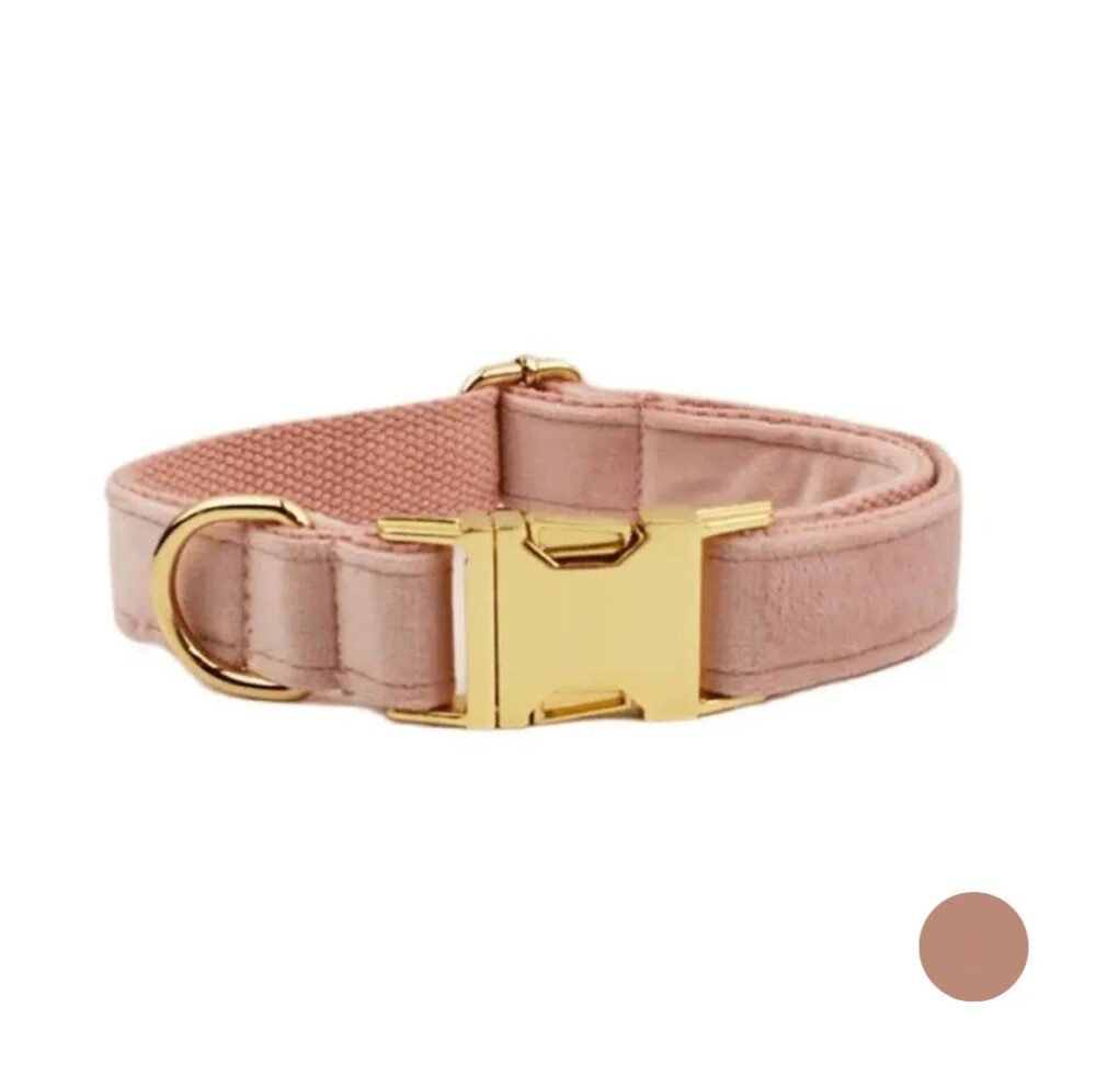 Collier chien personnalisé nom – Image 3