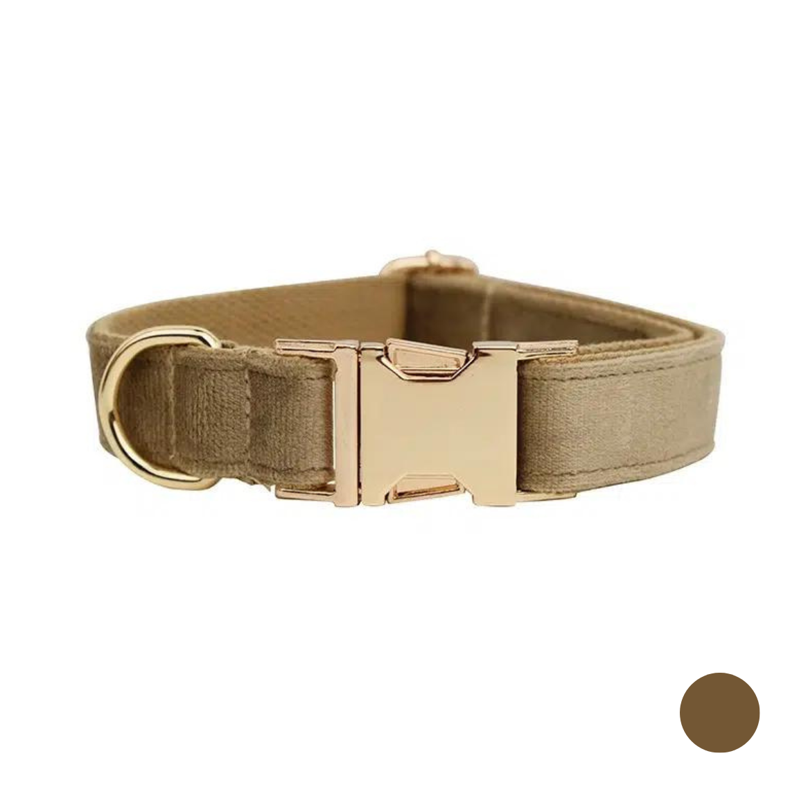 collier chien personnalisé marron clair