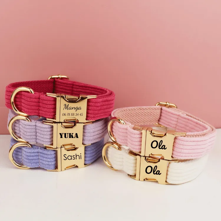 collier de couleur pour chien à personnaliser