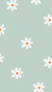 fond marguerite
