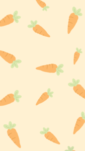 fond carottes