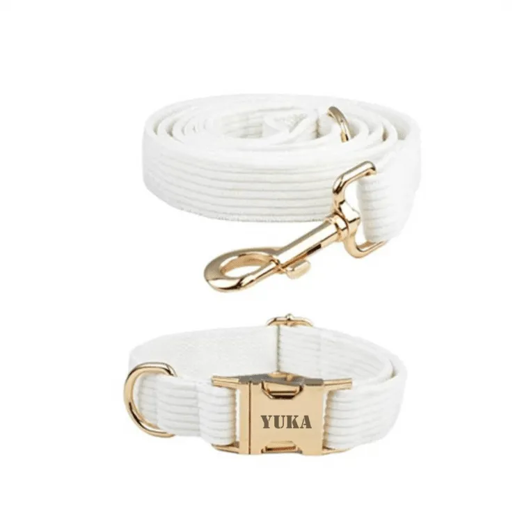 Collier et laisse chien personnalisé côtelé blanche