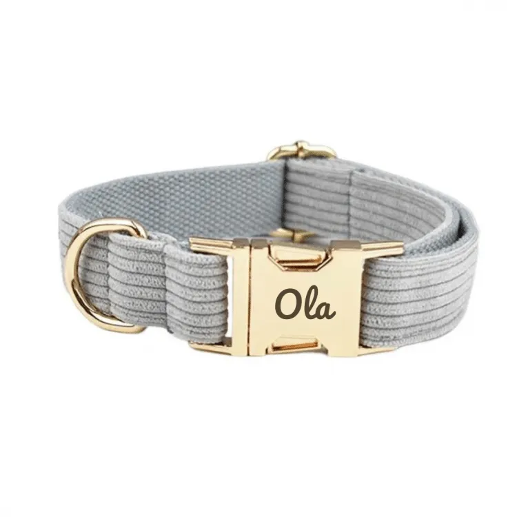 Collier et laisse chien personnalisé côtelé gris