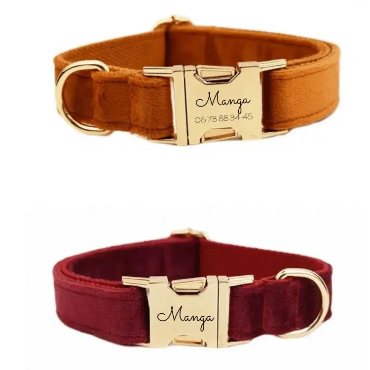Collier pour chien avec son nom