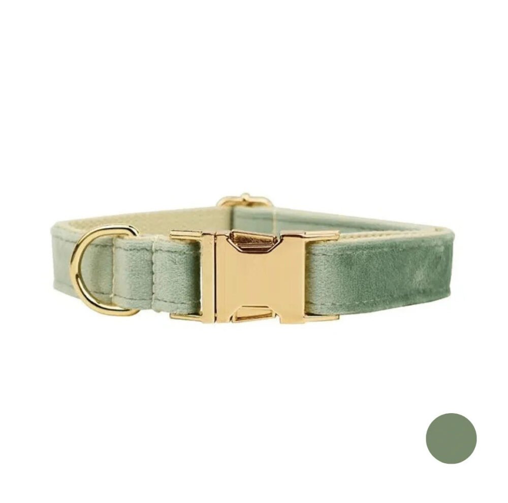 Collier chien personnalisé vert amande – Image 4