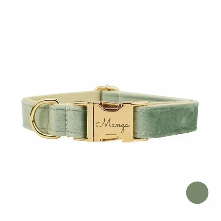 collier chien personnalisé vert amande