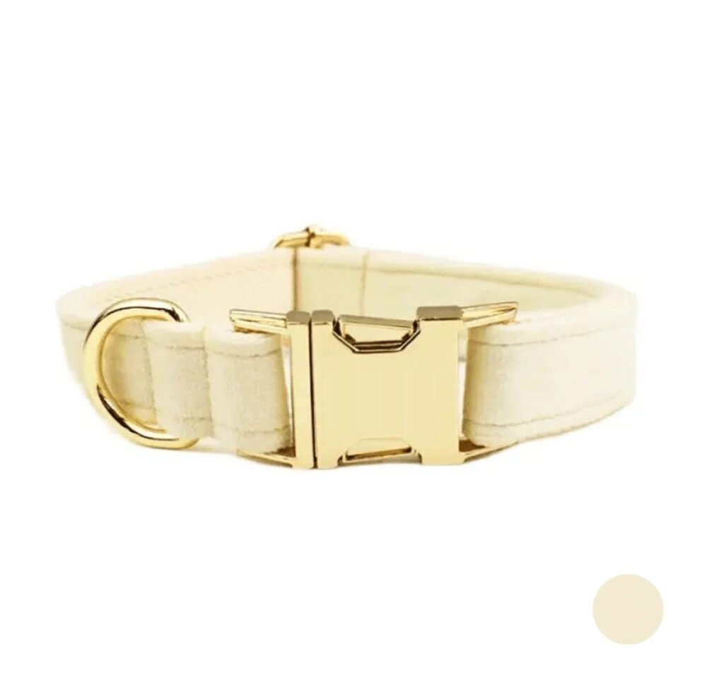 Collier chien personnalisé blanc – Image 4