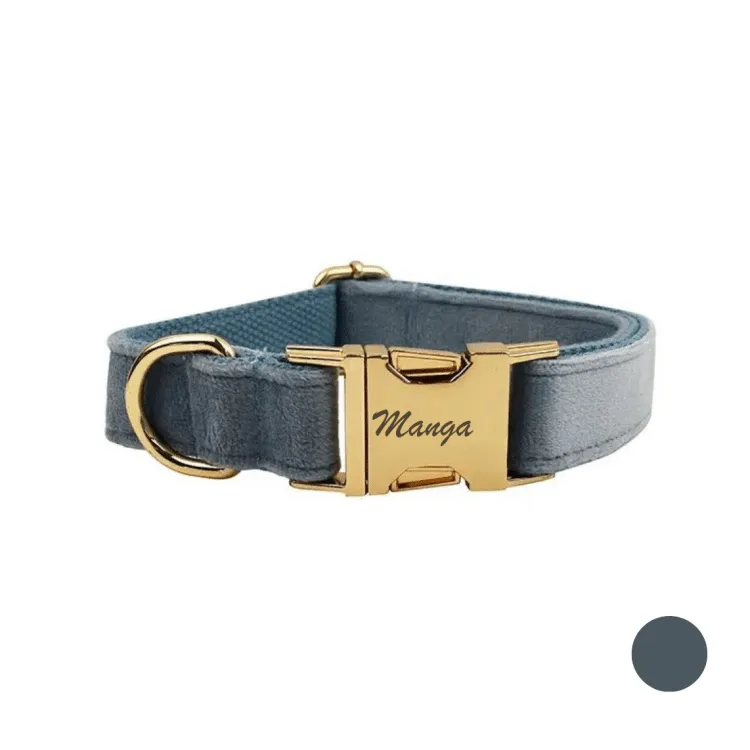 collier chien personnalisé bleu canard