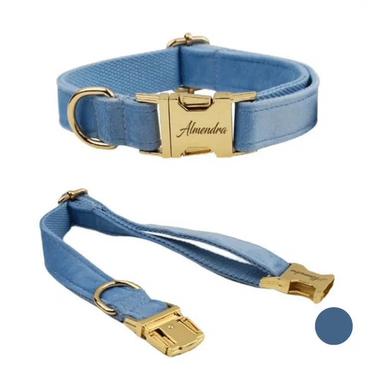 Collier chien personnalisé bleu ciel