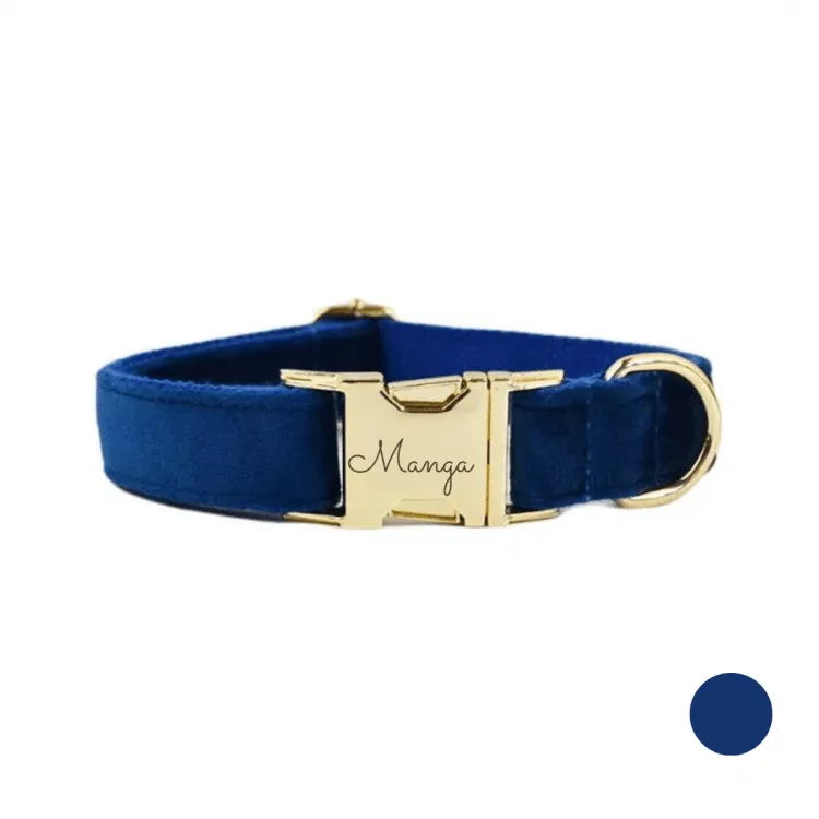 collier chien personnalisé bleu roi