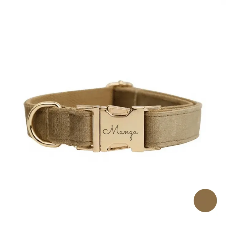 collier chien personnalisé crème