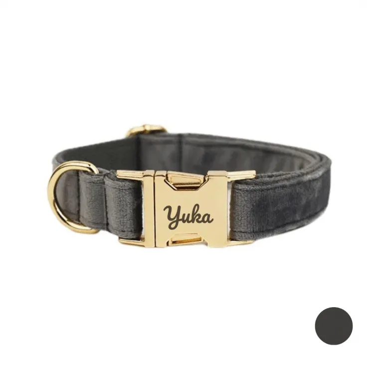 collier chien personnalisé gris