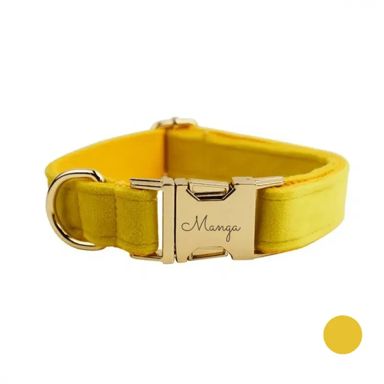 collier chien personnalisé jaune