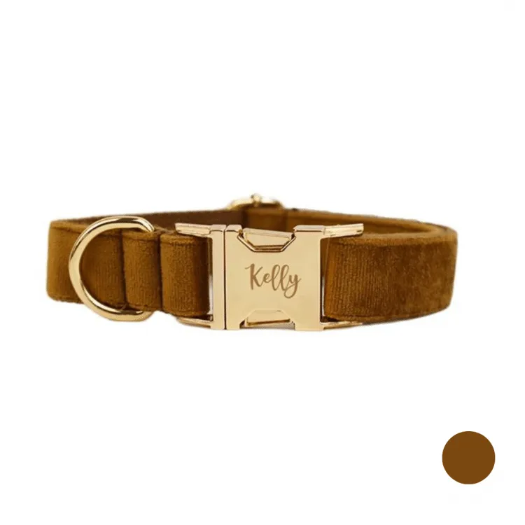 collier chien personnalisé marron