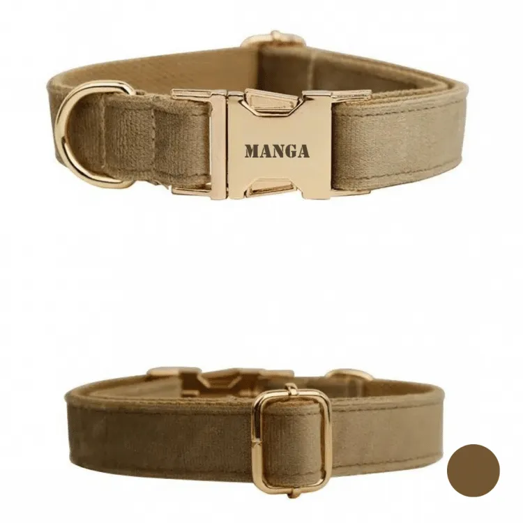 collier chien personnalisé marron clair