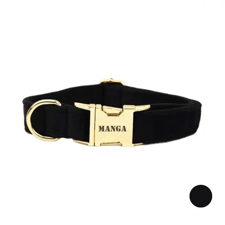 collier chien personnalisé noir