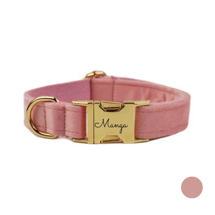 collier chien personnalisé rose bonbon
