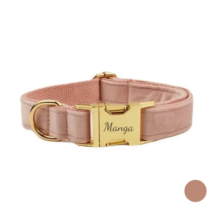 Collier chien personnalisé nom