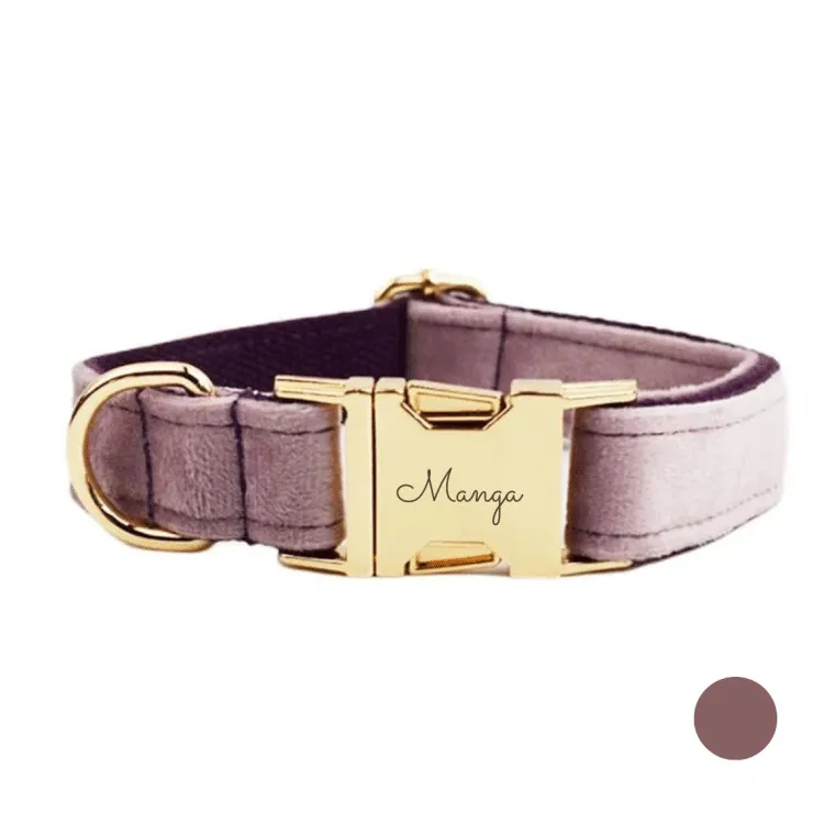 collier chien personnalisé rose_violet