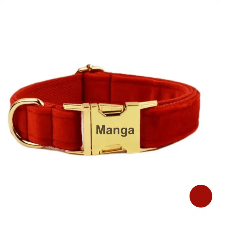 Collier chien personnalisé rouge