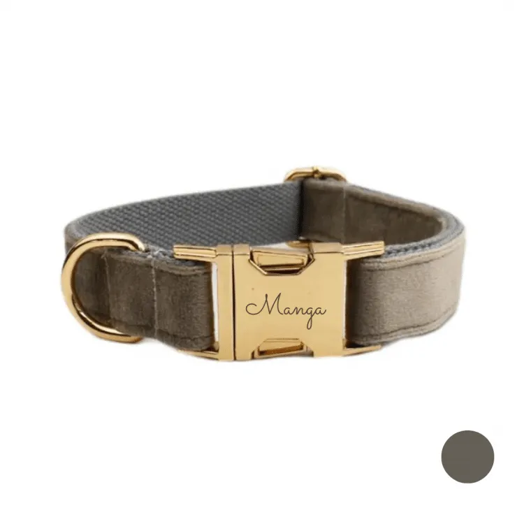 collier chien personnalisé taupe