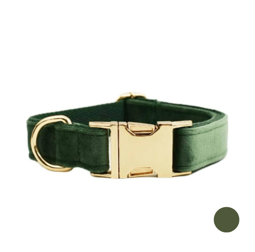 Collier chien personnalisé vert – Image 4