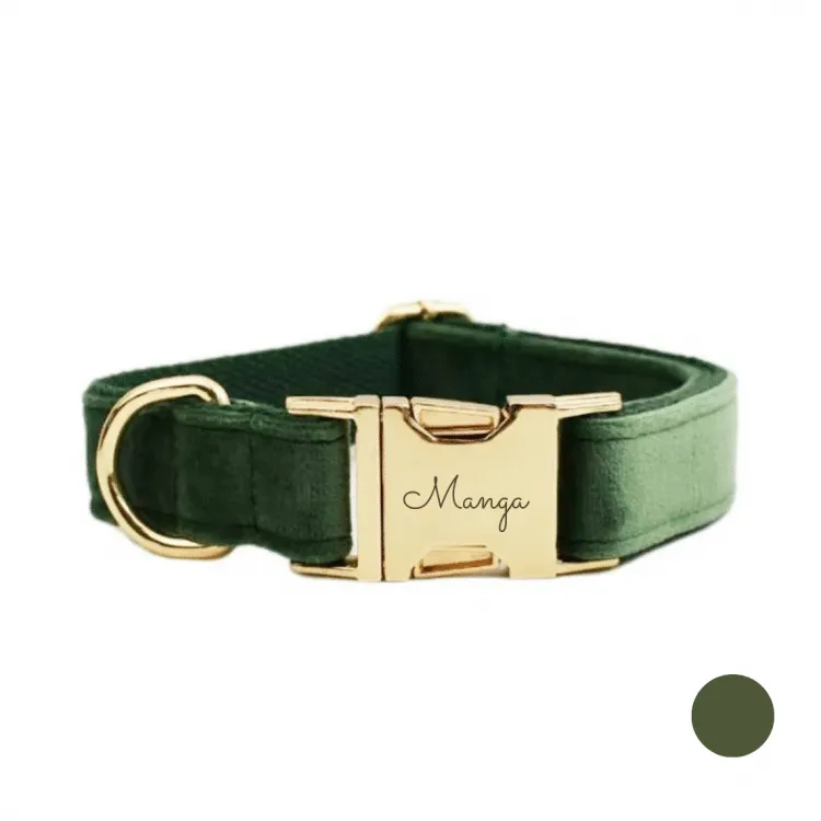 Collier chien personnalisé vert foncé