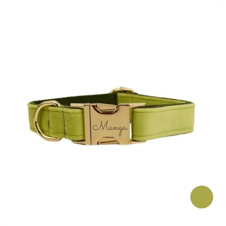 collier chien personnalisé vert clair
