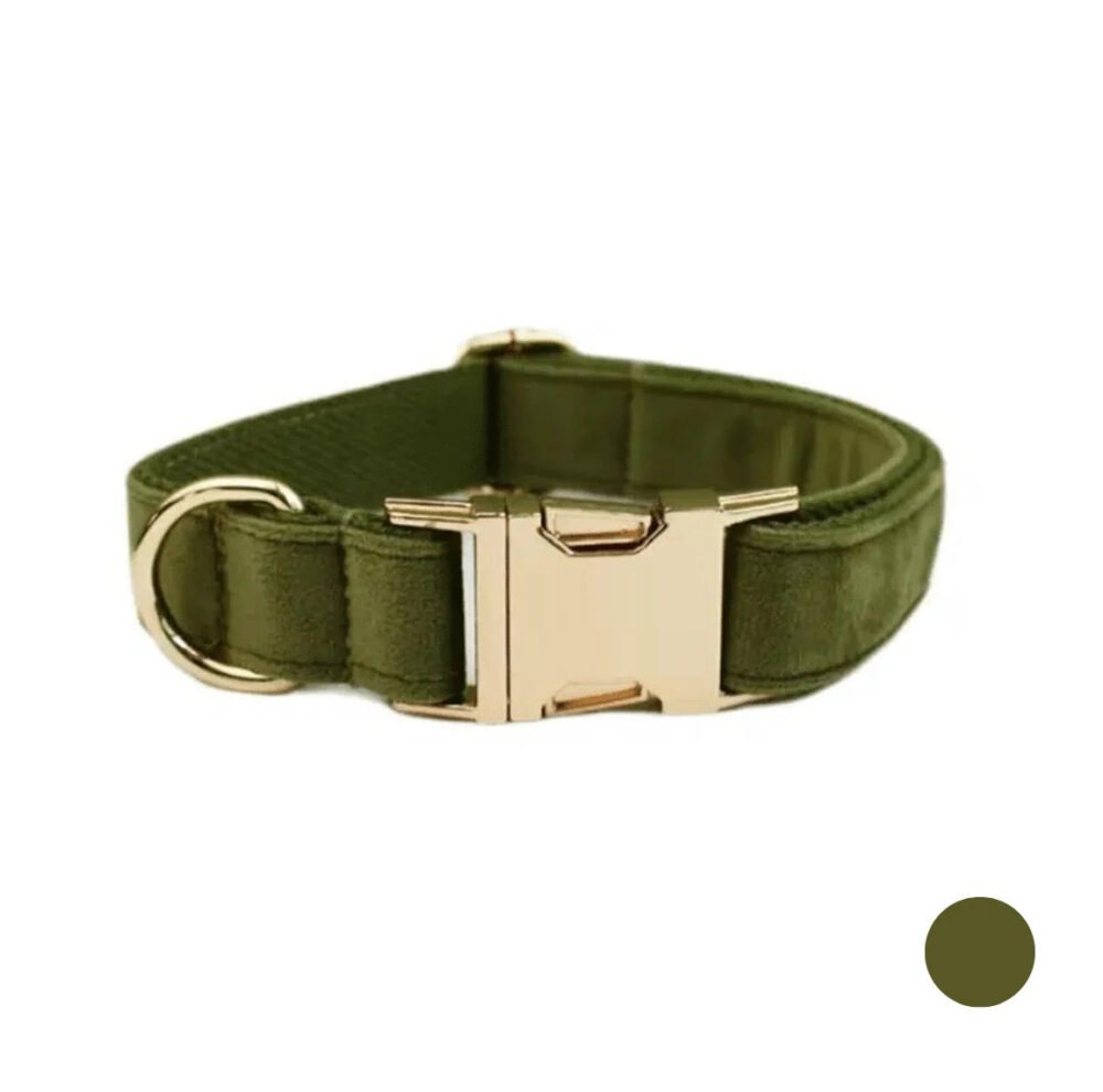 Collier chien personnalisé vert foncé – Image 4