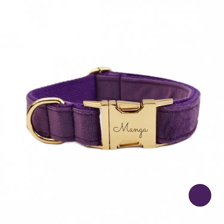 Collier chien personnalisé violet