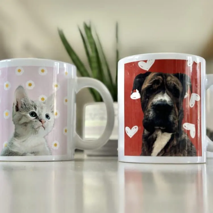 Mug à personnaliser de votre animal
