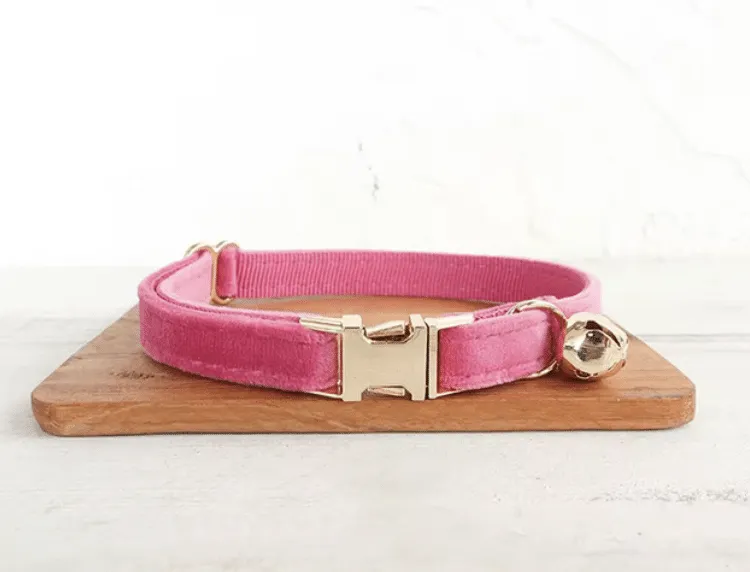 collier chat personnalisé rose