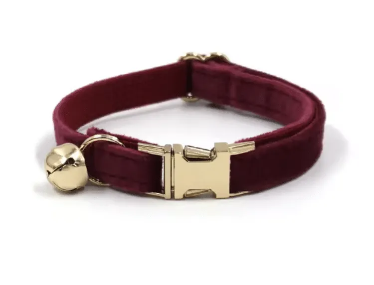 Collier chat personnalisé