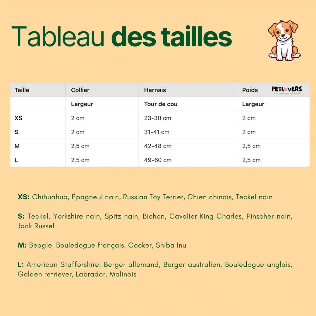 Guide des tailles pour collier chien Personnalisé