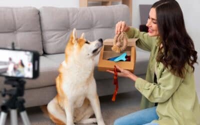Comment emballer un cadeau pour un chien : guide complet pour faire plaisir à votre compagnon