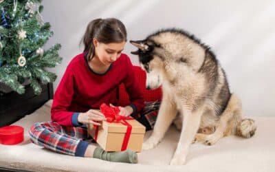 Comment choisir le bon cadeau pour son chien ?