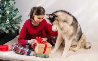 Comment choisir le bon cadeau pour son chien ?