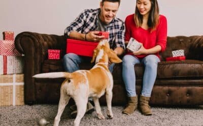 Idées Cadeaux pour les Pet Parents à Noël