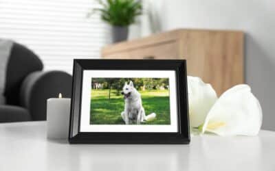 Le Cadre personnalise chien
