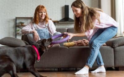 Quelle cadeau pour mon chien ? Un guide complet pour faire plaisir à votre compagnon