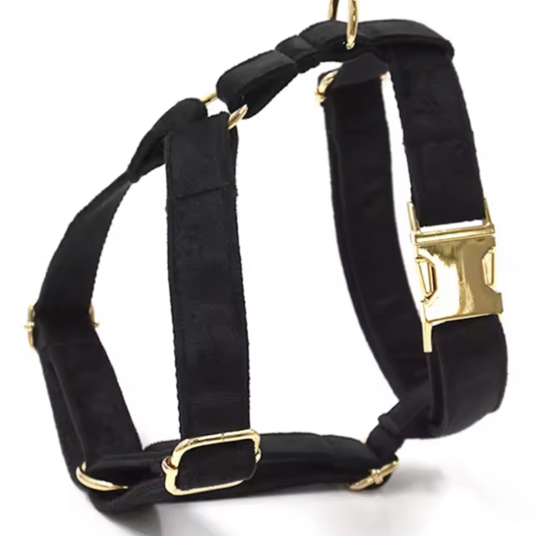 Harnais en velours pour chien noir