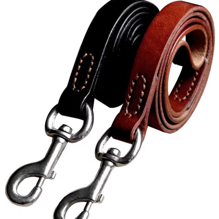 Laisse pour chien en cuir