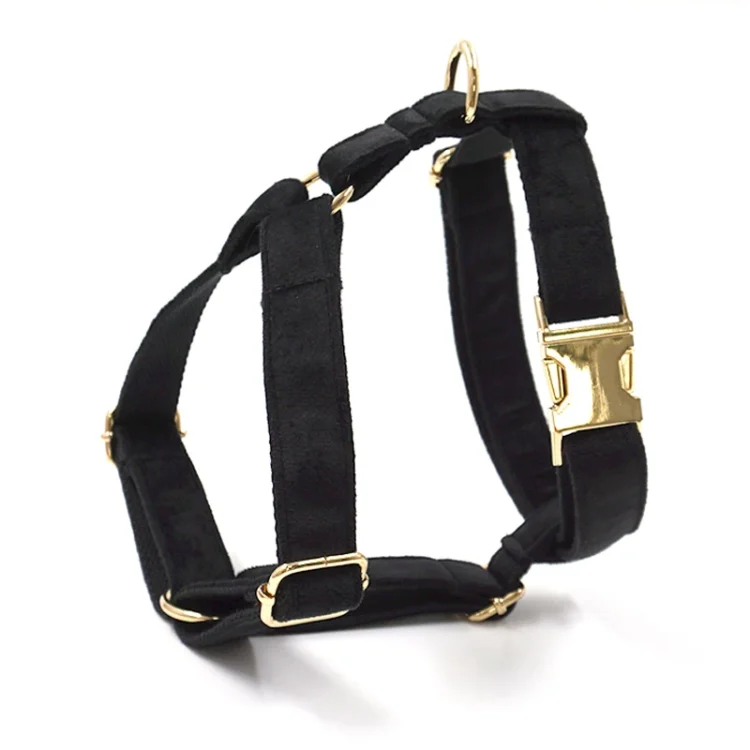 Harnais pour chien en velours noir + colier