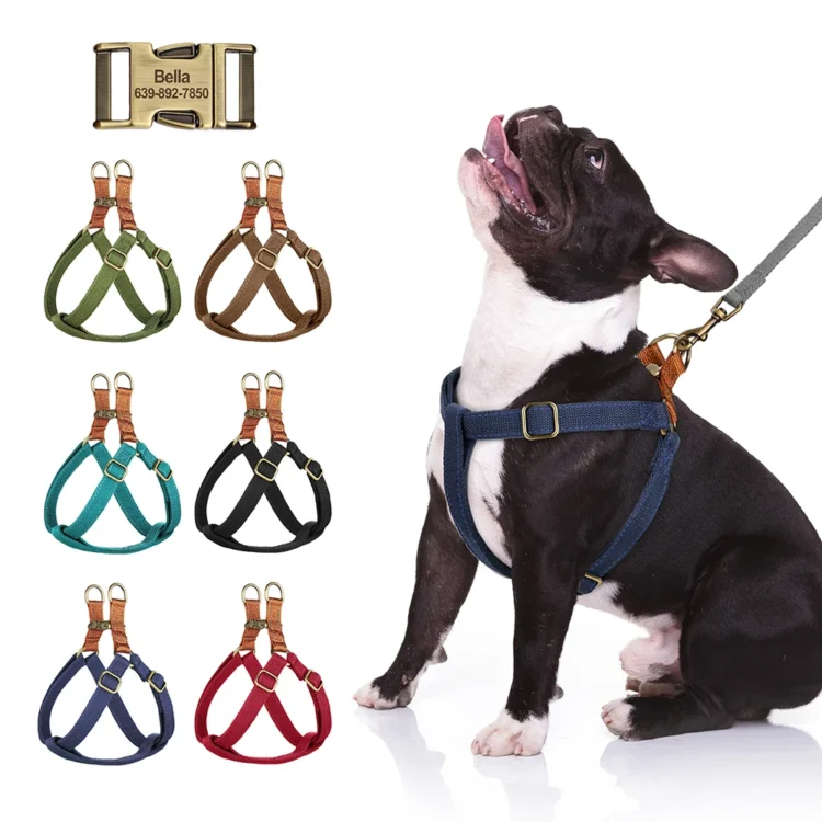 Harnais pour chien fluo la nuit