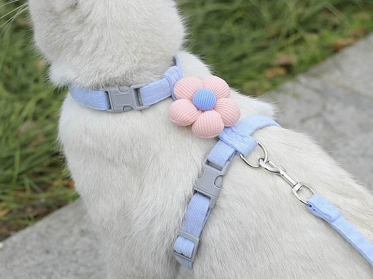 Harnais pour chat et petit chien fleurs