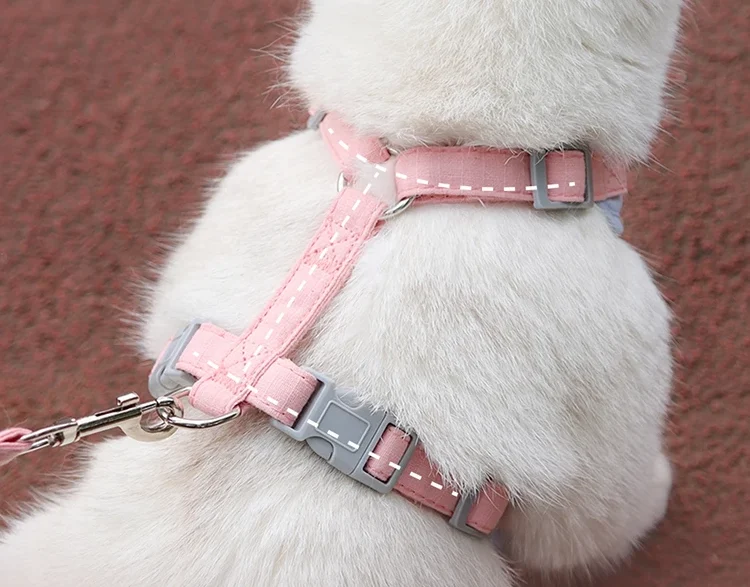 Harnais pour petit chien et chat
