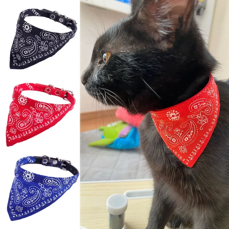 Collier Bandana Chat