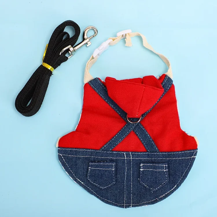 ensemble vêtement lapin